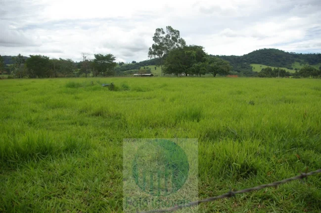 Imagem Fazenda 59 alqueires para soja, milho, gado em Cássia dos Coqueiros - SP . Temos autorização para venda.