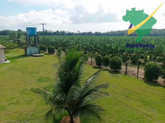 Imagem FAZENDA COM EXCELENTE PRODUÇÃO PRÓXIMA A PORTO SEGURO