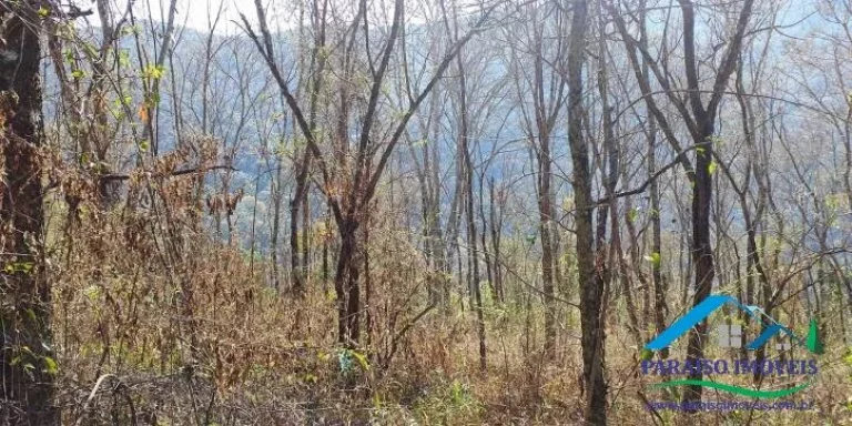 Imagem Espetacular Área Rural em Paraisópolis - Minas | 155 hectares