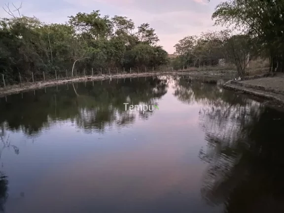 Imagem Fazenda zona Rural São Miguel do Passa Quatro, 175 ha, - GO, 36,1 Alqueires
