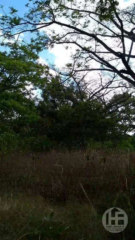 Imagem Chácara com 3 Quartos à Venda, 88.699 m² em Aldeia - Camaragibe