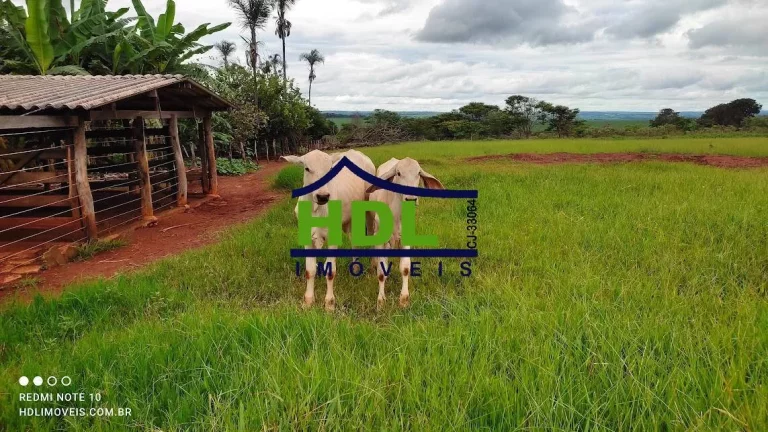Imagem Chácara com 2,5 Alqs planinha em Hidrolândia-GO