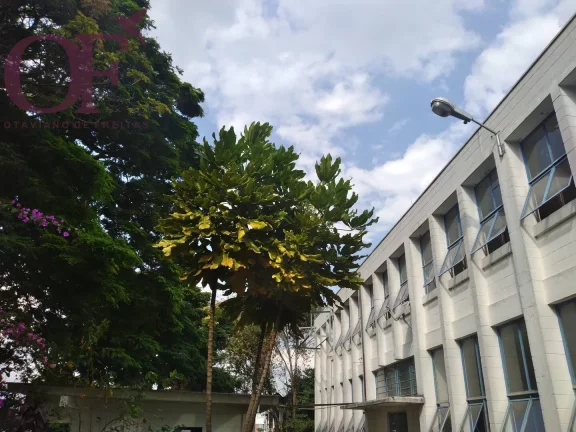Imagem Ótimo Galpão c/6.000 m² - Excelente localização ao lado da via Anhanguera!