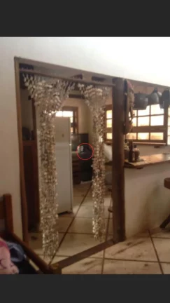 Imagem CASA INDEPENDENTE PARA LOCAÇÃO ANUAL EM CAMBURIZINHO, COM 3 DORMITÓRIOS , 2 BANHEIROS, QUINTAL E AREA GOURMET