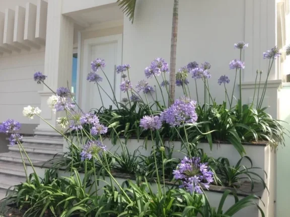 Imagem Casa com 7 dormitórios à venda - Jurerê Internacional - Florianópolis/SC