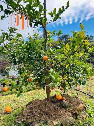 Imagem Chácara para Venda em São José dos Pinhais, Contenda