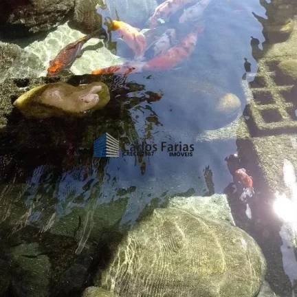 Imagem Casa em Condomínio para Venda em Brasília, Setor Habitacional Arniqueira (Águas Claras), 7 dormitórios, 4 suítes, 8 banheiros, 6 vagas