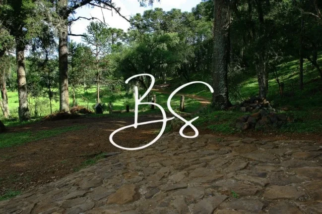 Imagem AREA RURAL em SÃO FRANCISCO DE PAULA - RS, Barragem do Salto