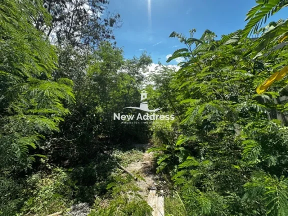Imagem Pronto para construir: lote de 200m², murado e com escritura, à venda em Pontal das Garças