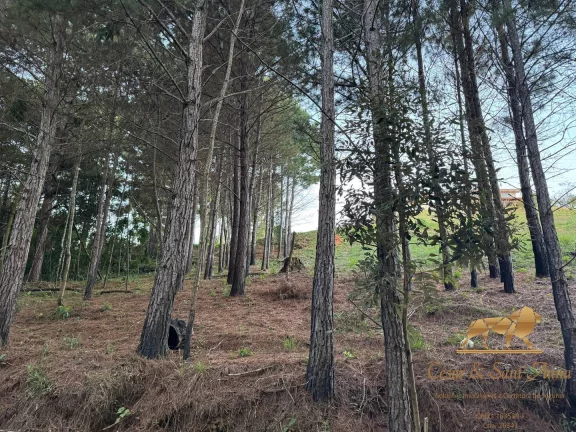 Imagem Belo lote a venda em oportunidade em Campos do Jordão-SP
