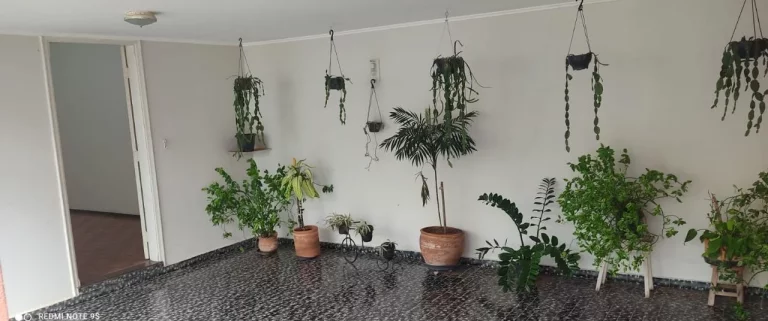 Imagem Casa para Venda em Araçatuba, Vila Mendonça, 3 dormitórios, 2 banheiros, 2 vagas