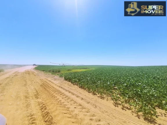 Imagem Fazenda de Excelência no RS 2.100 hectares Cachoeira do Sul