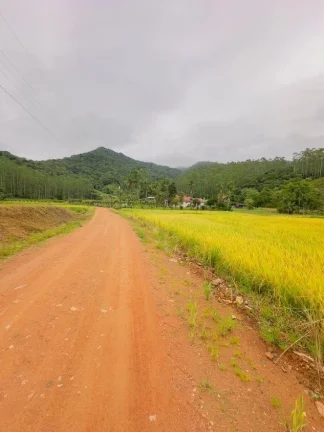 Imagem Lindo Sitio em Santa Catarina - Ascurra