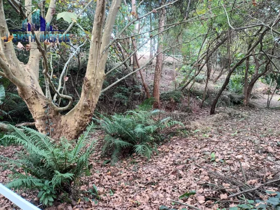 Imagem TERRENO 1.207m² CONDOMÍNIO ALTO PADRÃO NA GRANJA VIANA