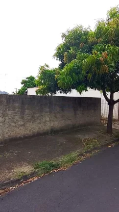 Imagem Terreno Padrão