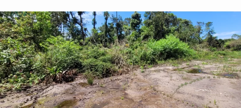 Imagem DOIS TERRENOS JUNTOS 24X32, com rua aberta, 100% documentado.