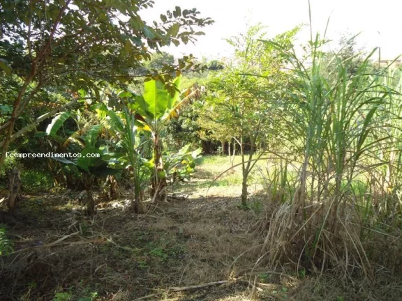 Imagem Casa para Venda em Limeira, Vila Queiroz, 3 dormitórios, 3 banheiros, 2 vagas