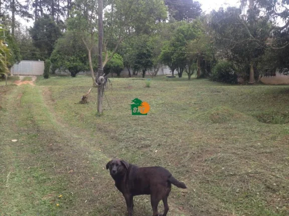 Imagem Terreno para Venda em São Roque, Alto Da Serra
