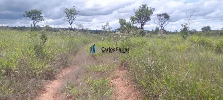 Imagem Chácara para Venda em Brasília, Setor Habitacional Tororó (Jardim Botânico)