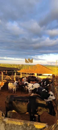Imagem Fazenda em Não Informado