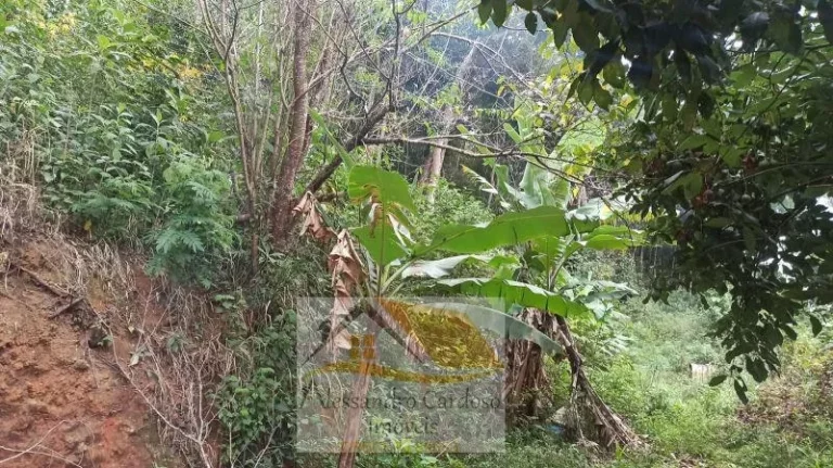 Imagem Vendo Terreno com 7800 mts² em Varginha