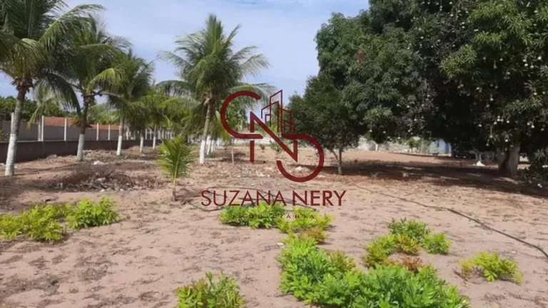 EXCELENTE ÁREA ESCRITURADA PARA GRANJA OU UM BELO CONDOMÍNIO FECHADO EM PARQUE DO JIQUI