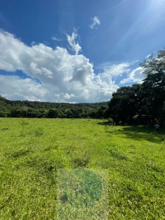 Imagem Sítio 6,5 alqueires por R$ 900.000 em São Sebastião do Paraíso - Minas Gerais.
