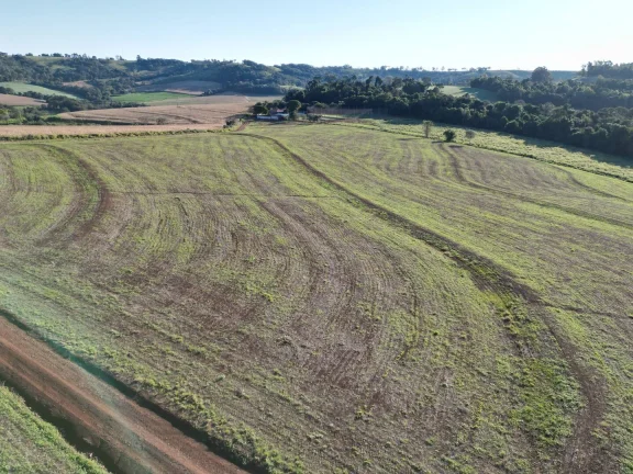 Foto do imóvel: Sítio à venda em Santa Maria, Centro - Energia Elétrica, Rio e Açude
