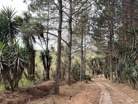 Imagem Km 36 Rap. Tavares - Área para Incorporação - 18.455m²