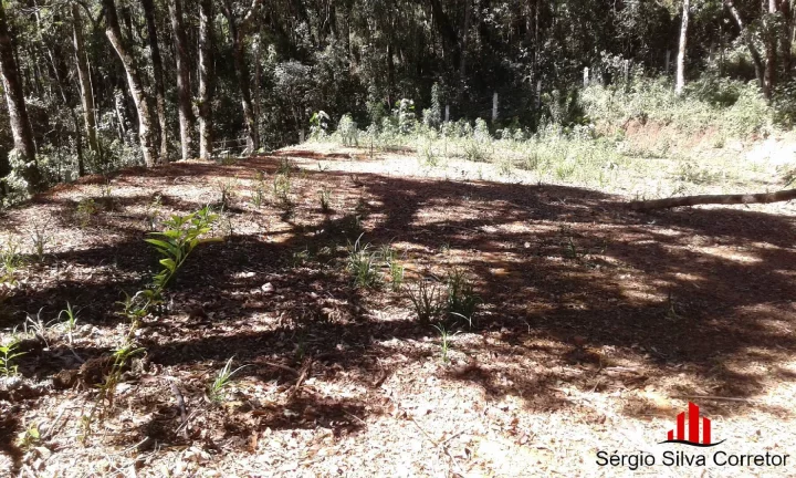 Imagem Terreno a Venda no Loteamento Nova Capivari, Campos do Jordão.