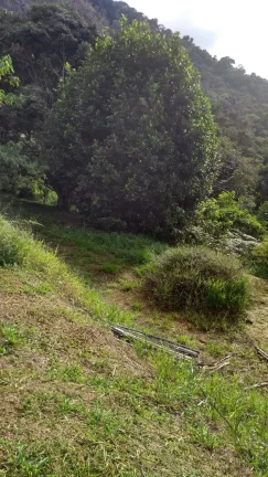 Imagem Vendo esta linda chácara em Nova Friburgo com 15.000m2.
