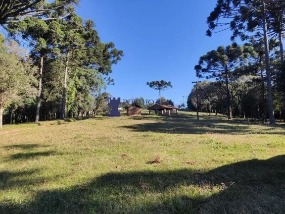 Imagem CHÁCARA NA REGIÃO NO BUGRE EM BALSA NOVA