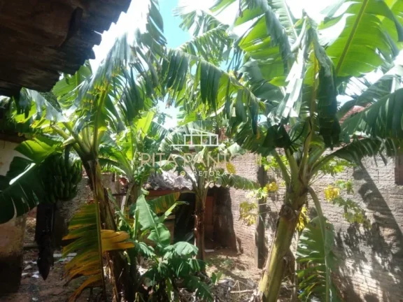 Imagem Casa - Cajuru - Cajuru - Sp