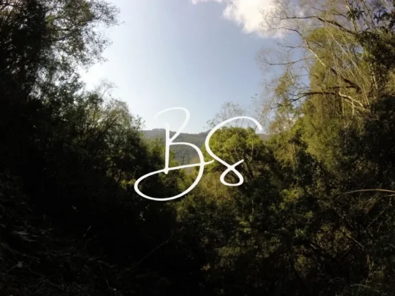 Imagem SITIO RURAL em NOVA PETRÓPOLIS - RS, Linha Pirajá Baixa