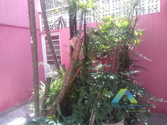 Imagem Duas casas à venda, Vila Liviero, São Paulo, SP