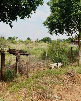Imagem Vende- se Chácara- Tapira Paraná