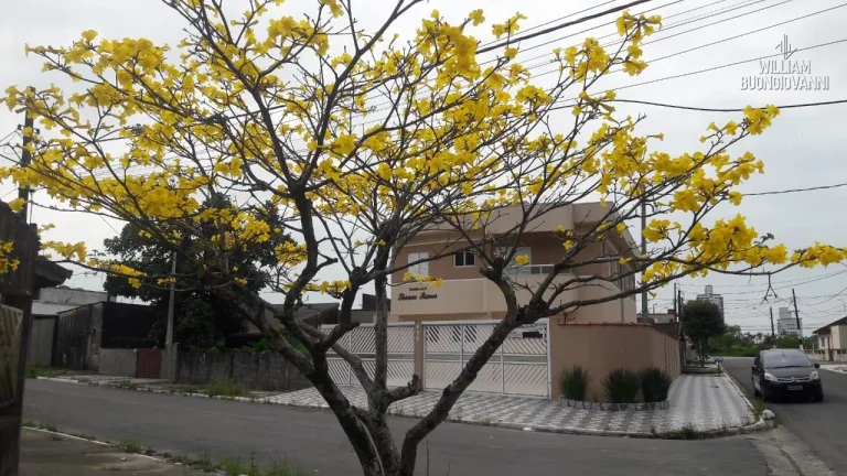 Imagem Sobrado 2 quartos - Pronto para Morar - Bairro Solemar