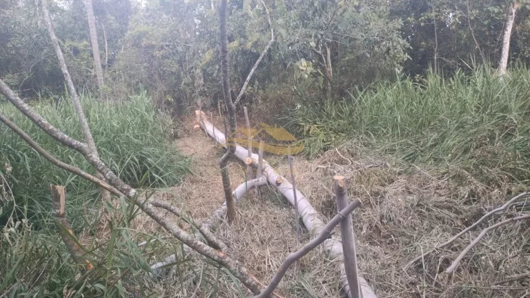 Imagem SITIO RURAL em ELIAS FAUSTO - SP, Centro