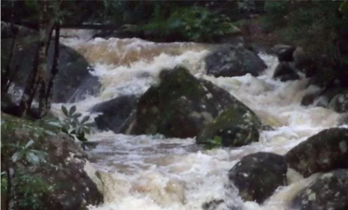 Imagem Chácara com 4 Dormitórios à Venda, possui Piscina, Área de 78.000 m² - Ratones - Florianópolis/SC