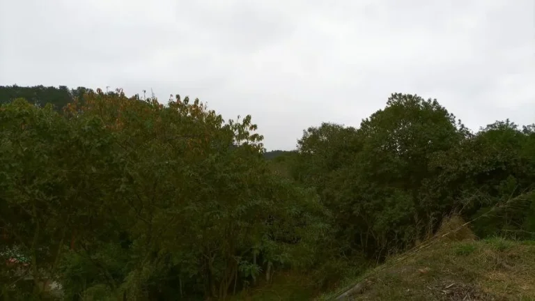 Imagem Terreno para Venda por R$500.000,00 - Arujazinho, Arujá / SP - Cód. BDI37422
