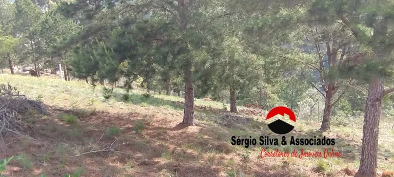 Imagem Terreno a Venda na Região do Atalaia em Campos do Jordão -SP.