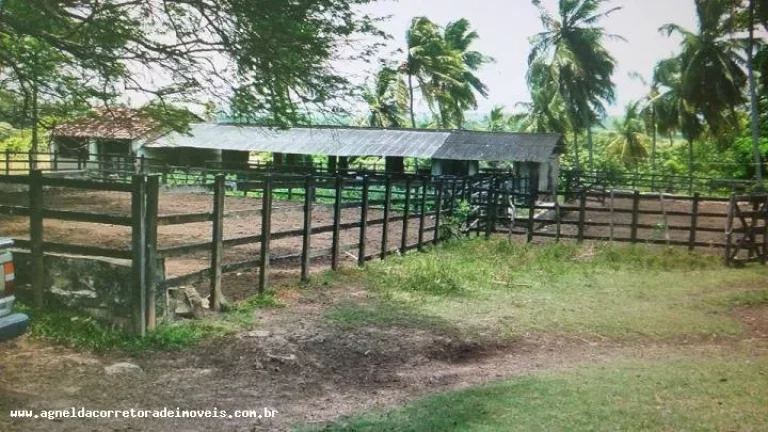 Imagem Fazenda para Venda em Extremoz, capim -extremoz, 3 dormitórios, 1 suíte, 2 banheiros, 6 vagas