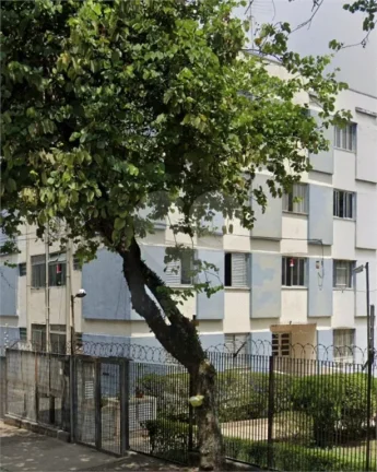 Imagem Apartamento à venda com 3 quartos no condomínio Ipê, São Paulo - SP