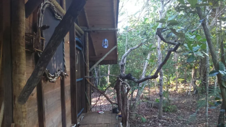 Imagem Terreno com cabana em madeira a venda na praia do forte, no bairro Lagoa Aruá área de 1.000 m2
