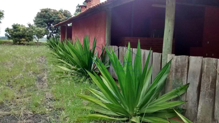 Imagem Chácara