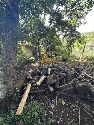 Imagem Chácara - Sítio com 4 Dormitorio(s) localizado(a) no bairro Linha Cristo Rei em Morro Reuter / RIO GRANDE DO SUL Ref.:1468