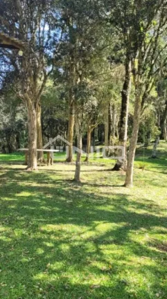 Imagem Chácara - Nsa Sra Candeias - 12 kms do Trevo de Pato Branco