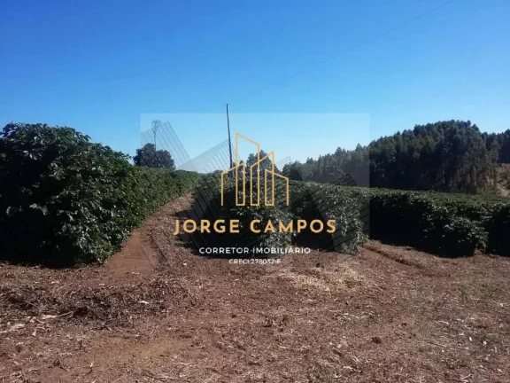 Imagem FA-25259 - FAZENDA À VENDA SUL DE MINAS GERAIS