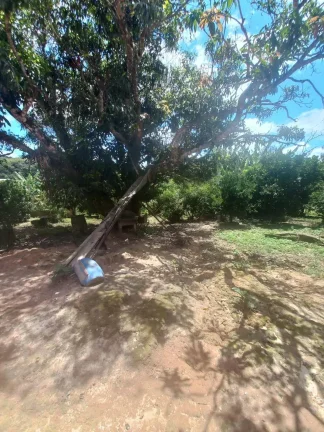 Imagem Terreno de 6.000m2 à Venda na BR-040 – Ideal para Investimentos