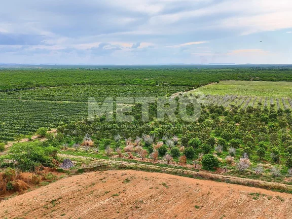 Imagem Fazenda com 116ha, Casa, Galpão, 25ha plantados e mais 32 prontos para plantar
